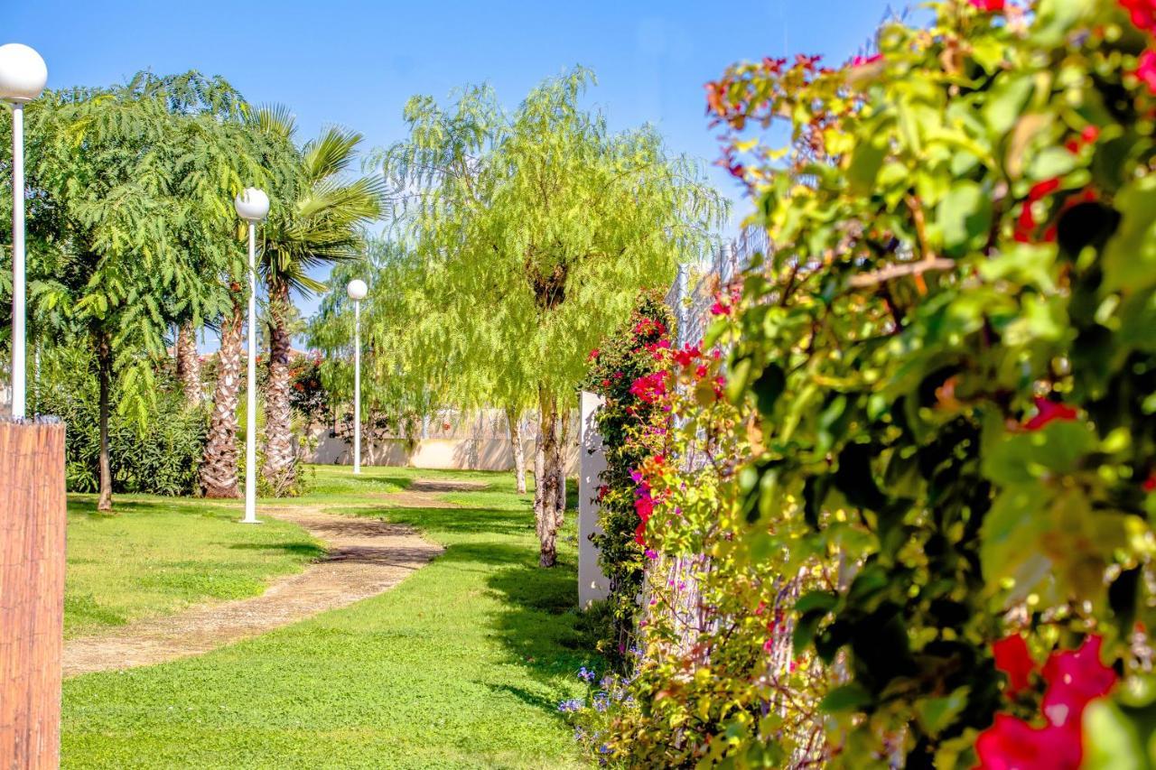 Playa Flamenca Apart Olga Dehesa de Campoamor  Εξωτερικό φωτογραφία
